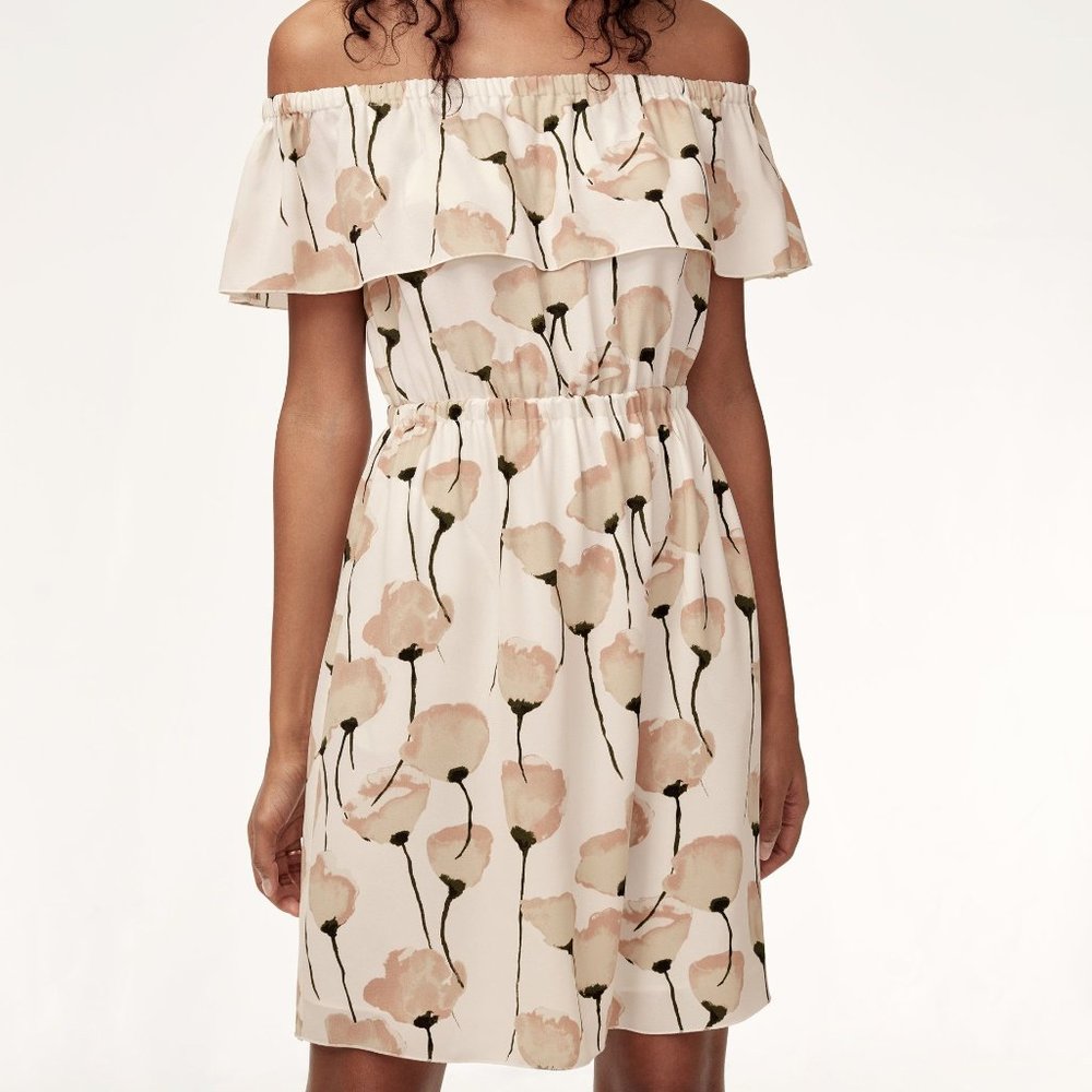 Aritzia Wilfred Hosta Dress in Oak/Prima Floral XS